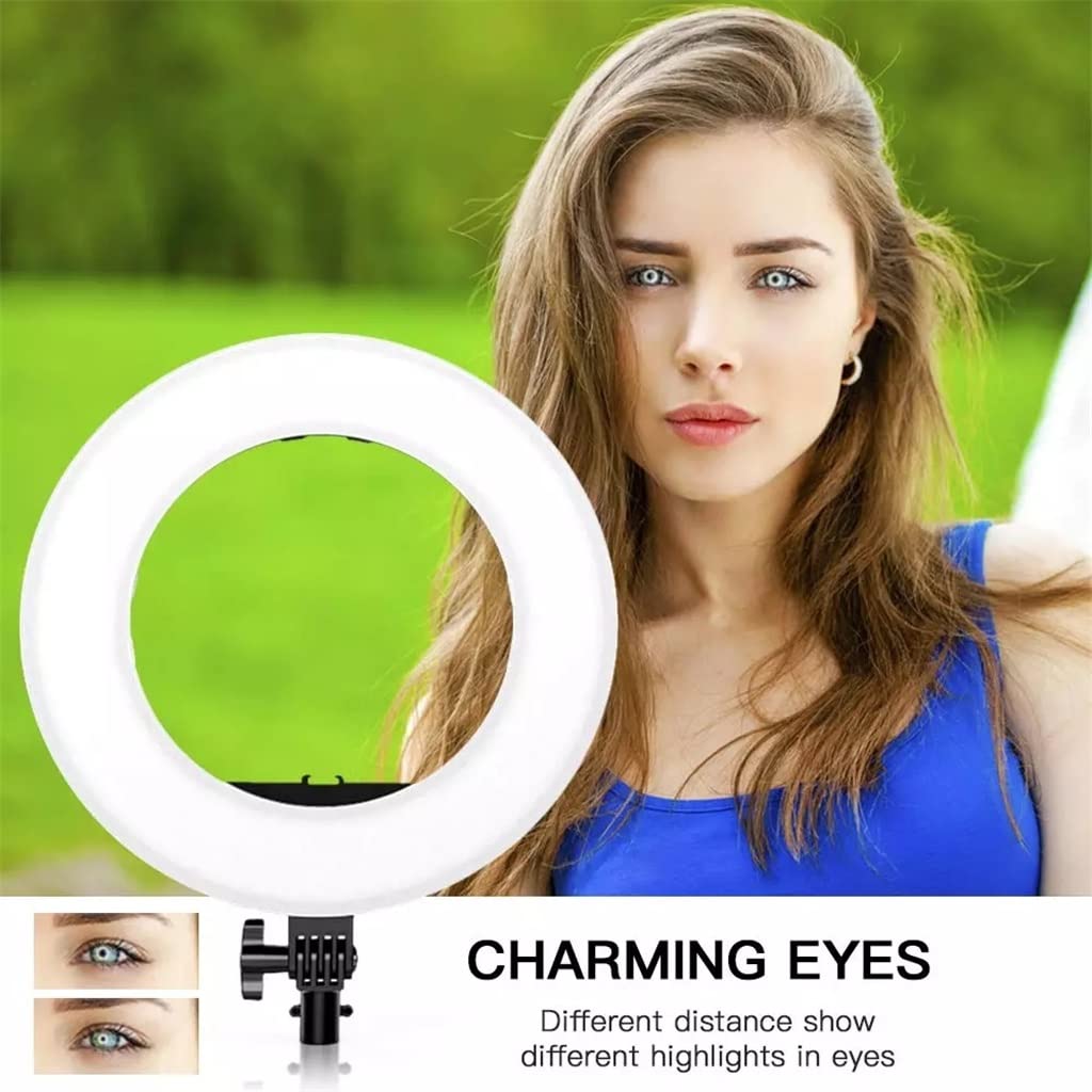 14-Lamp LED Ring Light with Stand & Phone Holder