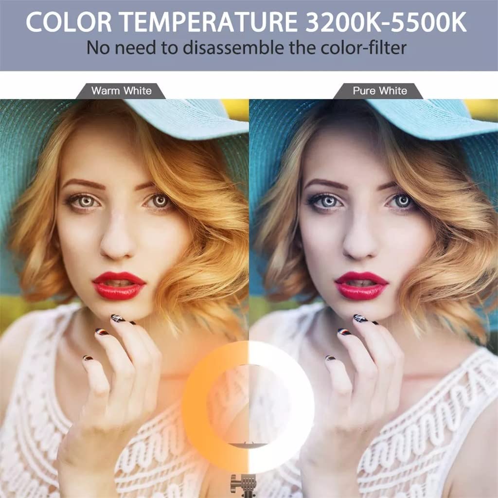 14-Lamp LED Ring Light with Stand & Phone Holder